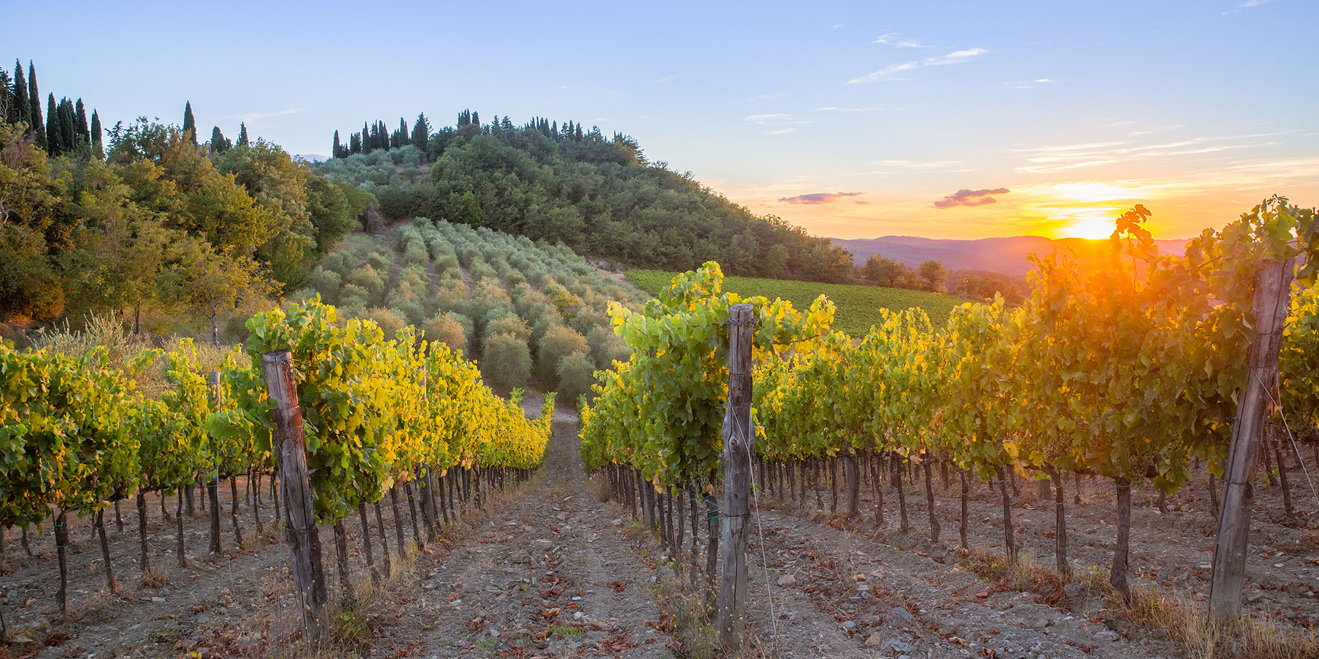 Auf der Spur des Chianti – eine toskanische Reise