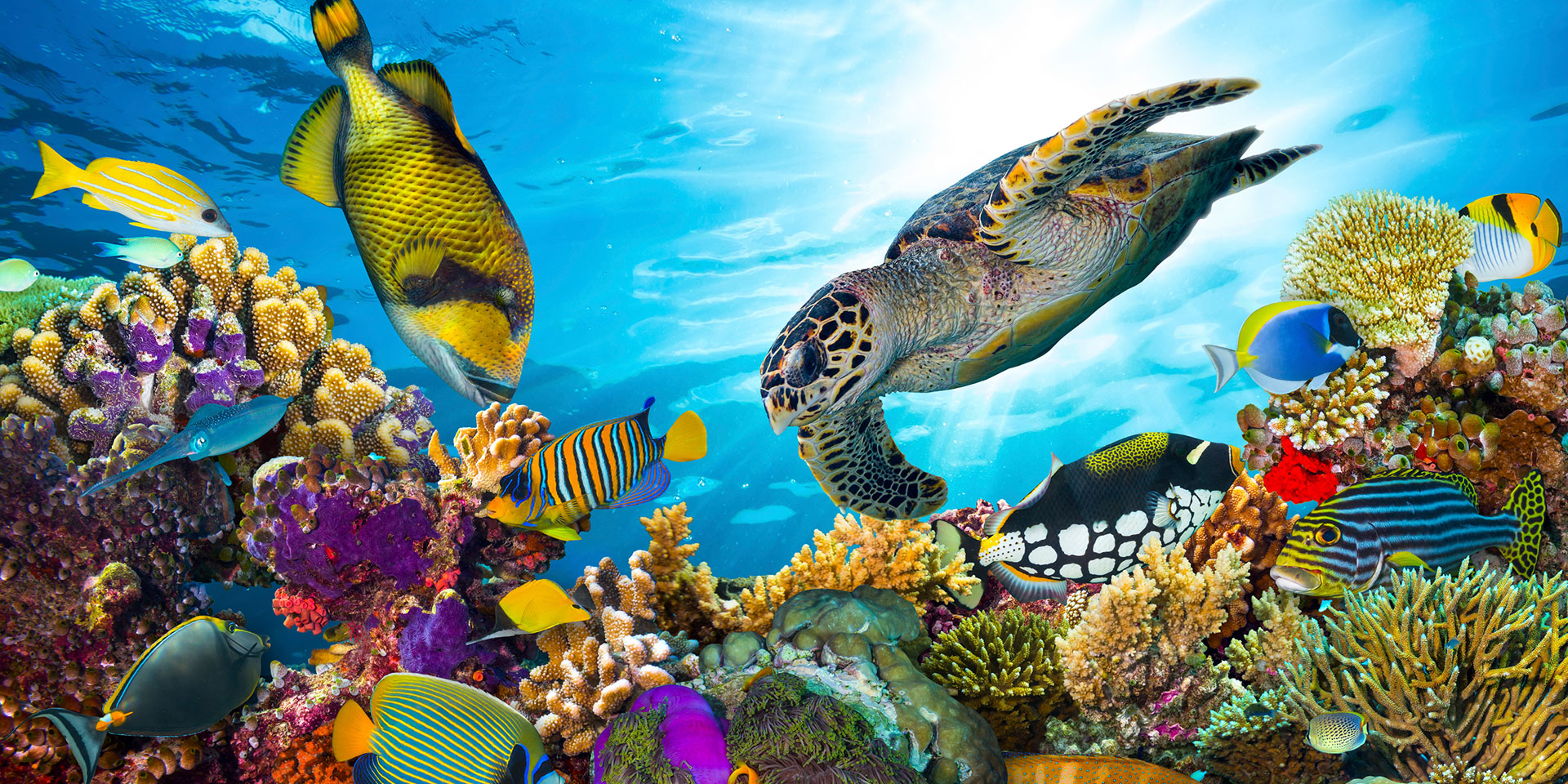 Die Malediven sind alles andere als langweilig