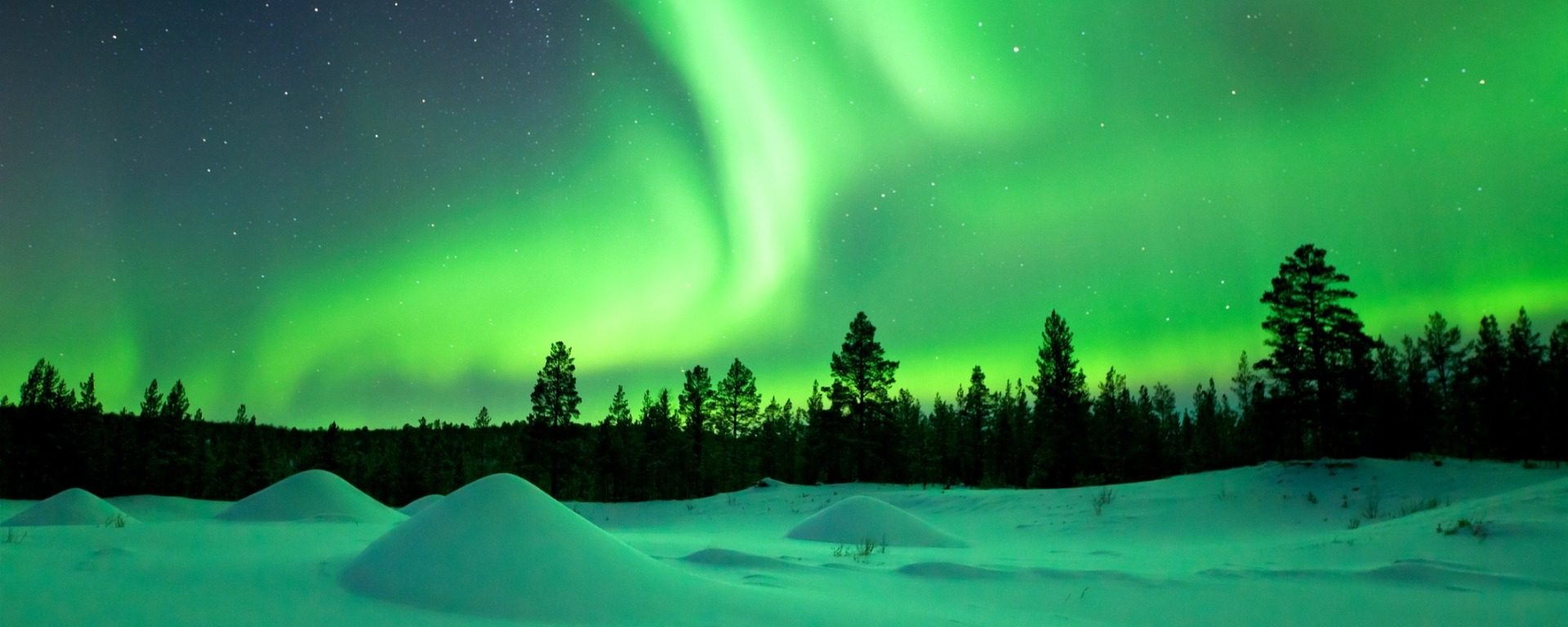 Auf der Suche nach Nordlichtern: Island, Lappland & mehr