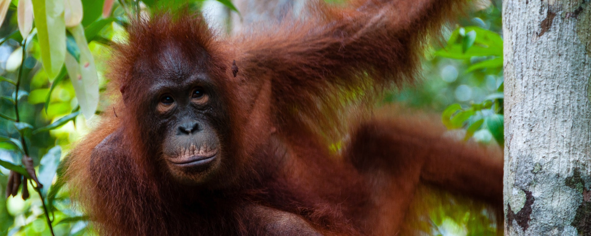 Malaysia: Alle Highlights auf einen Blick