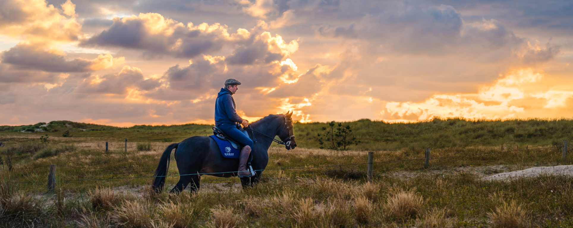 Eine Entdeckungsreise durch Fischland-Darß-Zingst