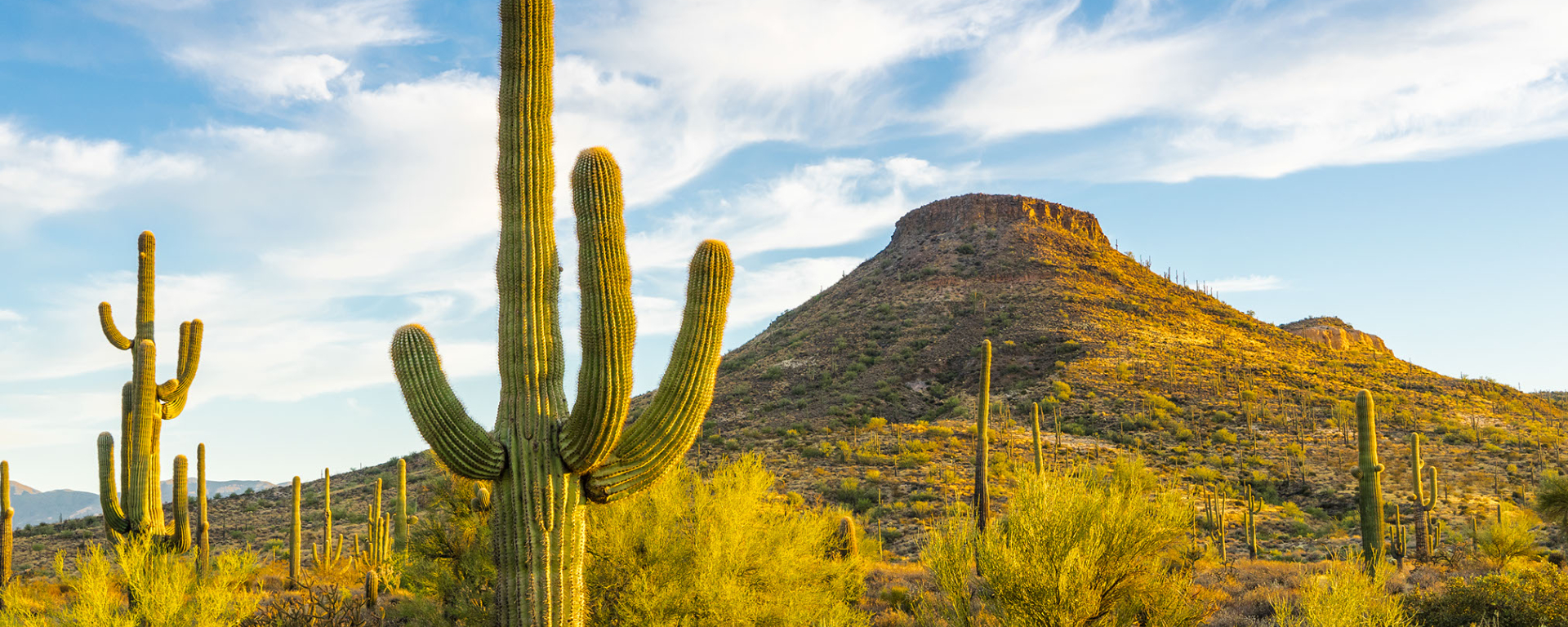 Mexikos schönste Reiseziele für Kulinarik und Kultur