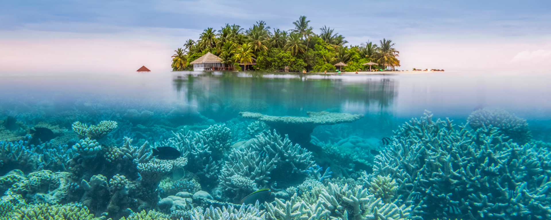 Malediven-Inselhopping: Die besten Tipps für eure Tropen-Traumreise