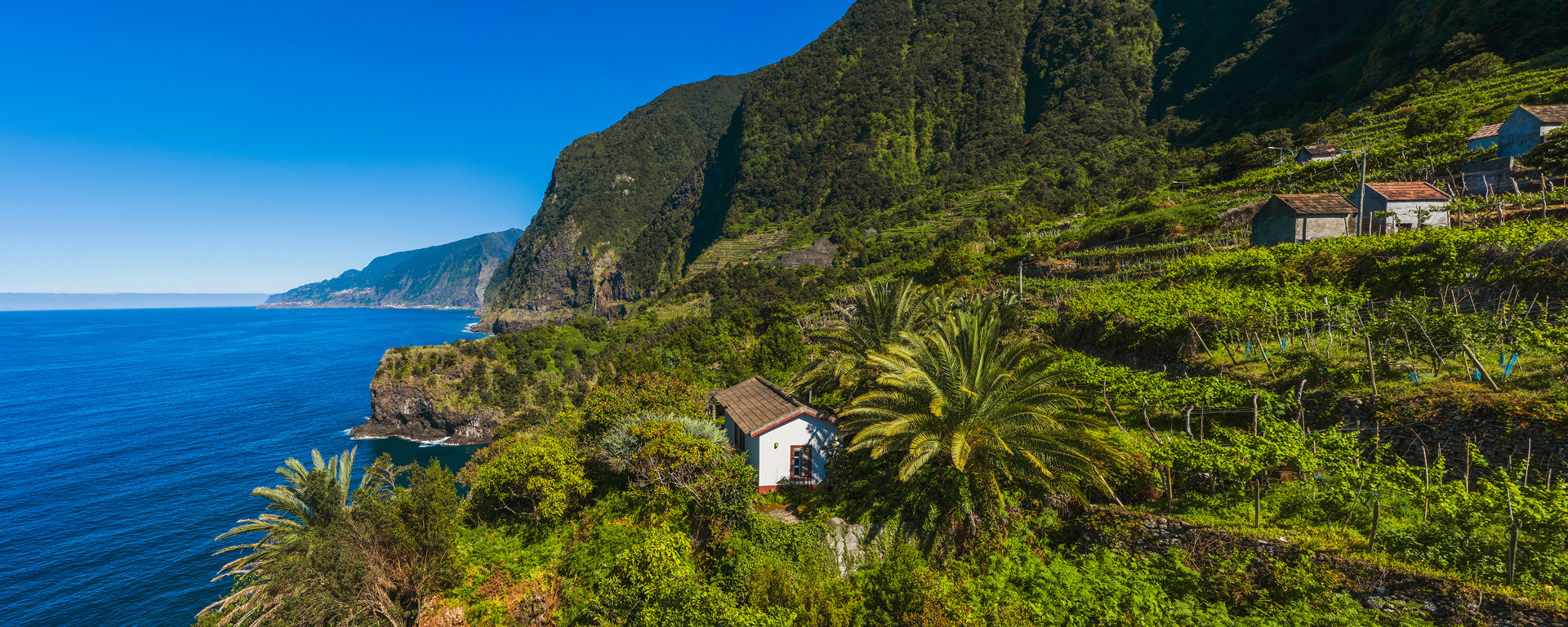 Küste von Seixal, Madeira